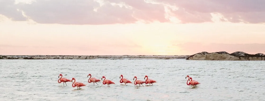 Las Coloradas Full-Day Guided Tour