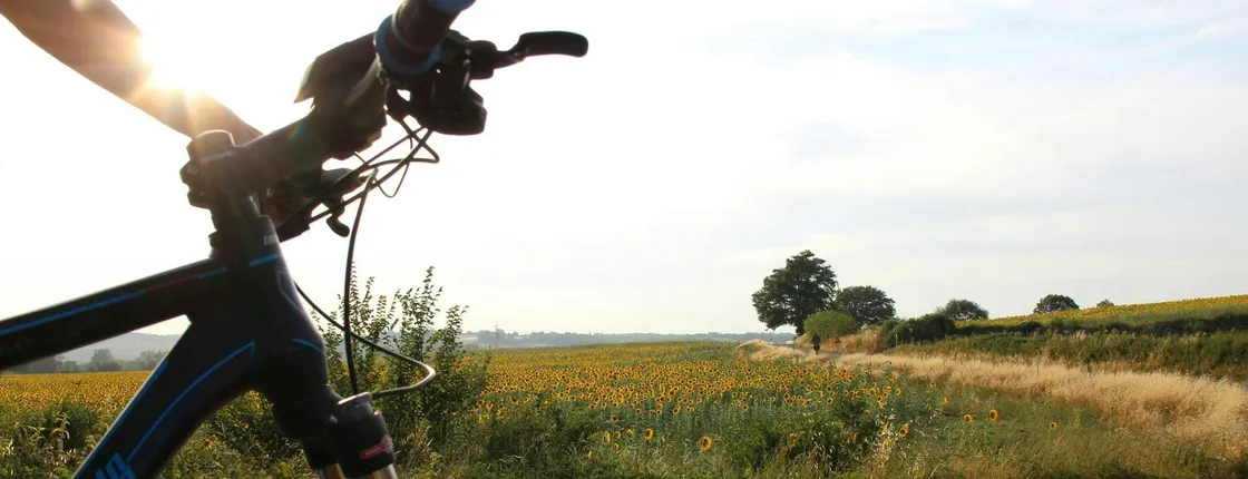 Scenic E-Bike Tour in Chianti Wine Region with Lunch