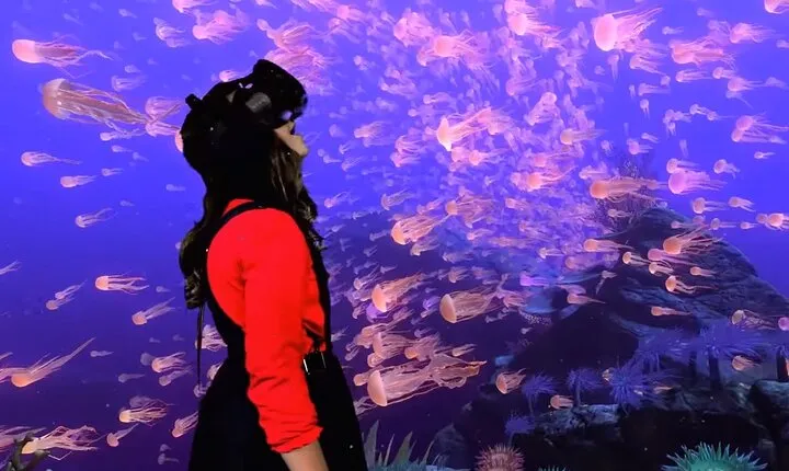 1 Hour VR Gaming Experience in Bournemouth
