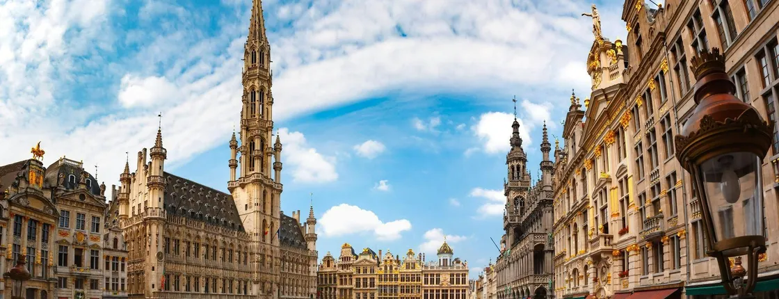 Brussels exclusive private art and culture tour with a local expert