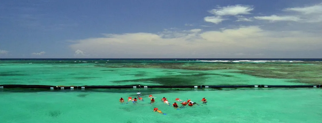 Punta Cana Buggy, BBQ, and Catamaran Cruise