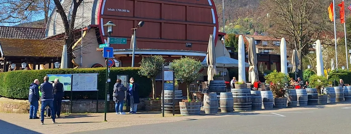 Bad Dürkheim wine tour from Heidelberg with tastings