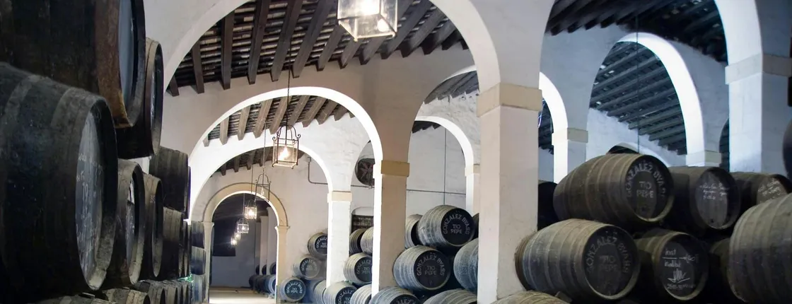 Jerez tour with Andalusian horse dancing and sherry tasting