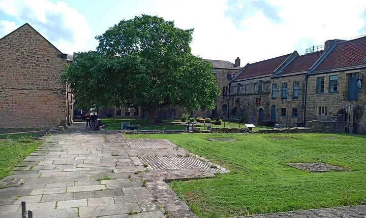 Guided City Walking Tour of Newcastle