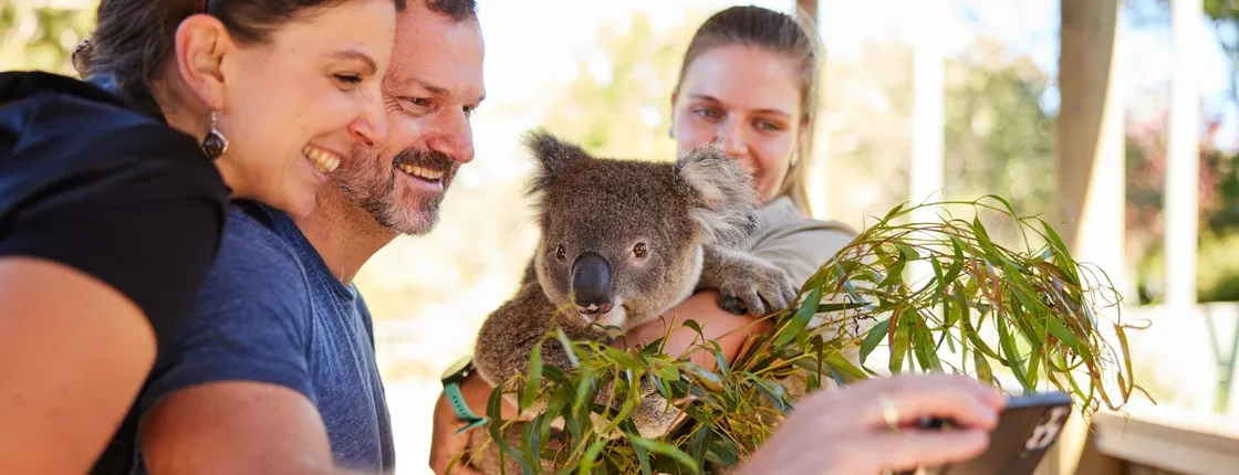 Wildlife, waterfalls and wine full day guided tour from Sydney