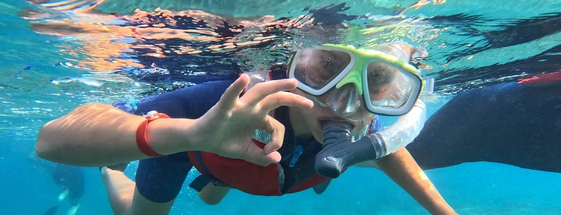 Snorkelling Experience in the South of Fuerteventura