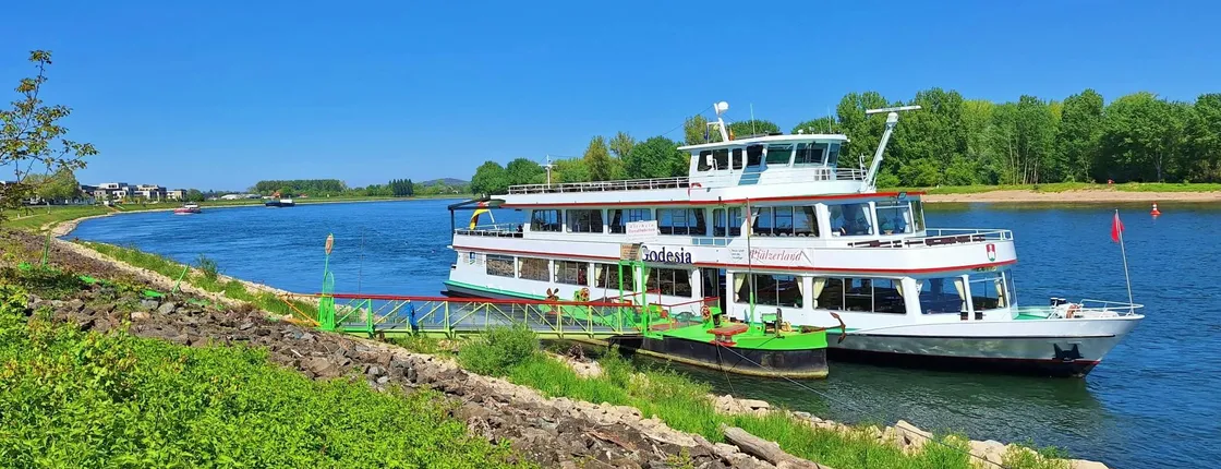 Speyer day trip from Heidelberg with cathedral and Rhine River cruise