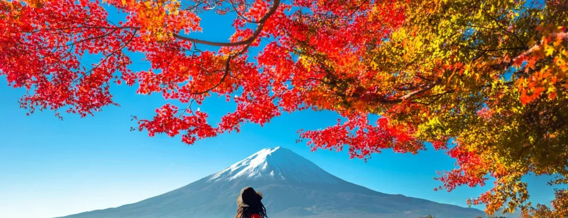 Day Trip to Mount Fuji with Scenic Photo Opportunities from Tokyo
