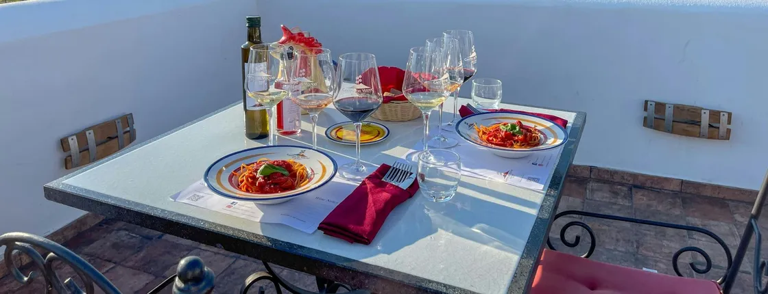 Organic volcanic wine tasting with lunch on Mt. Vesuvius