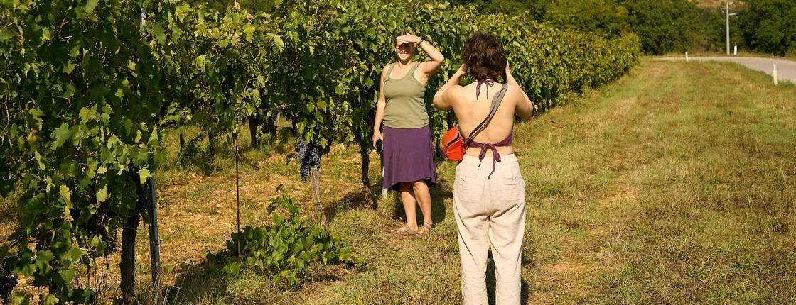 Small-Group Winery Tour and Expert-Led Masterclass from Florence