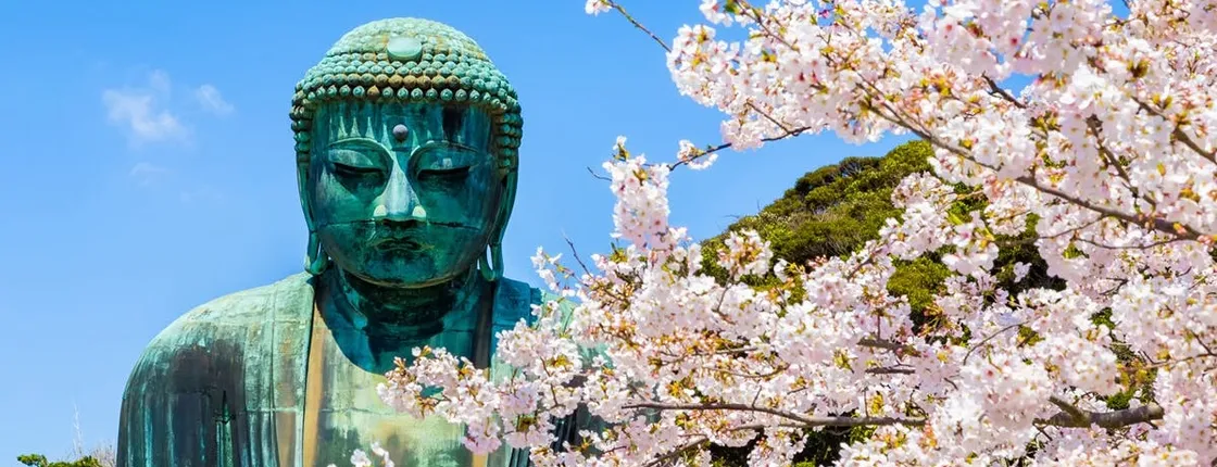 1-day tour to Kotoku-in, Hachimangu Shrine and Enoshima from Tokyo