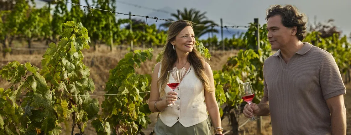 Wine Museum tickets and Marmajuelo tasting