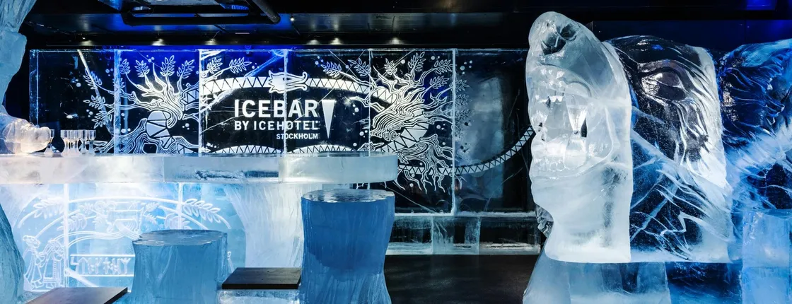 ICEBAR Stockholm entrance with drink