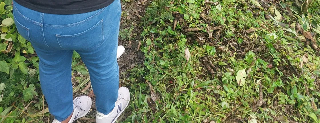Jamaica's Blue Mountains tour with coffee estate visit