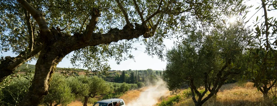 Zante beach and villages off-road 4x4 tour