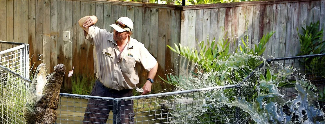 Half-day Hartley's crocodile adventures
