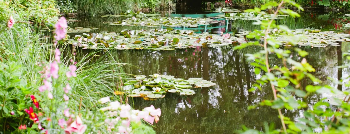 Monet's House and Gardens ticket and Giverny bike tour from Paris