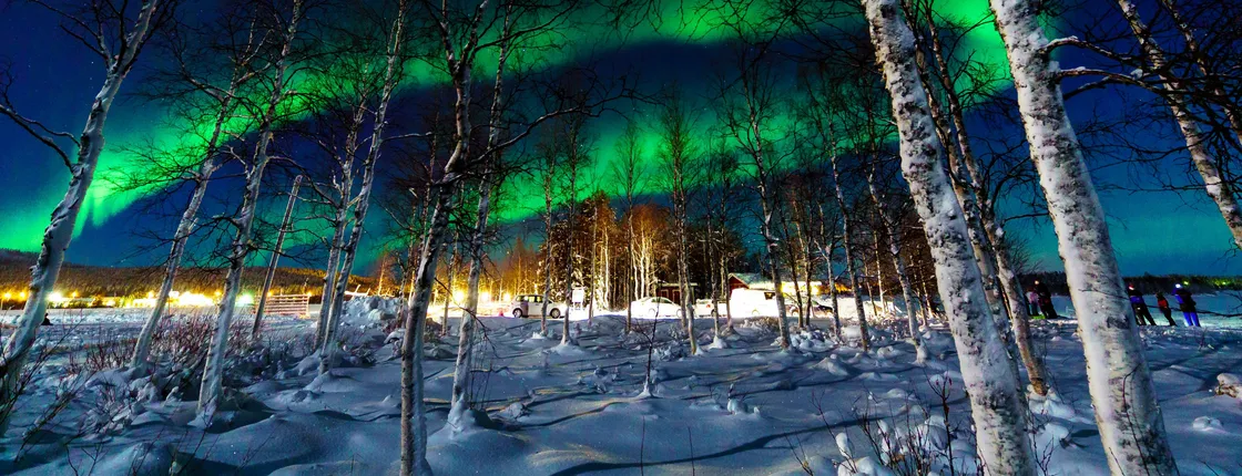 Musement Northern Lights tour