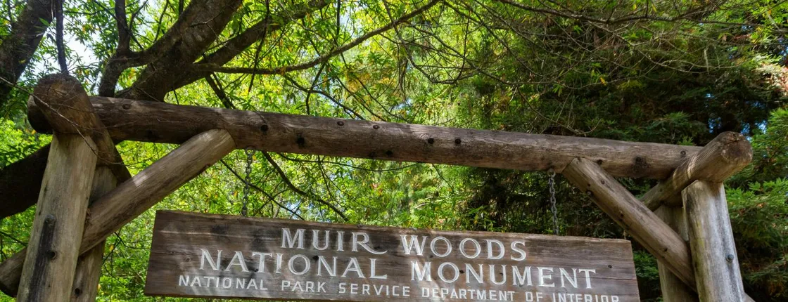Muir Woods National Monument: Self-Guided Walking and Driving Tour