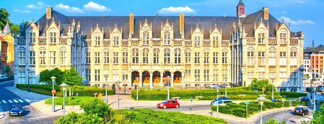 Liège city highlights walking tour with a local
