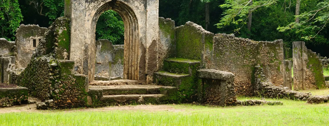 Arabuko Sokoke Forest and Gedi Ruins Day Tour from Mombasa North Coast