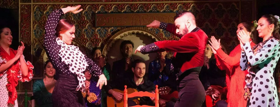 Madrid Tour and Flamenco Show with Dinner Option