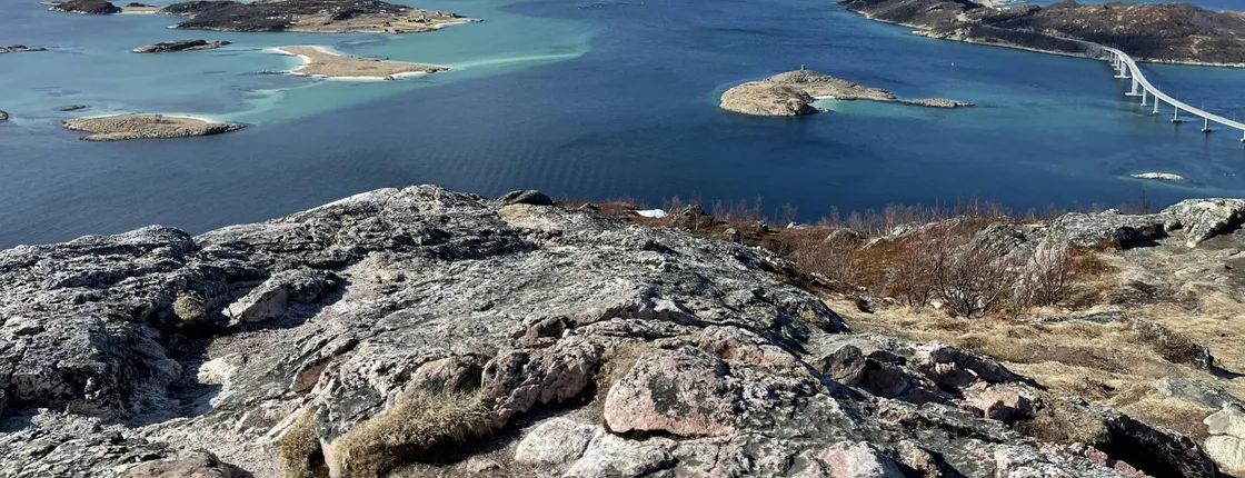 Tromsø fjords and wildlife tour in a minibus