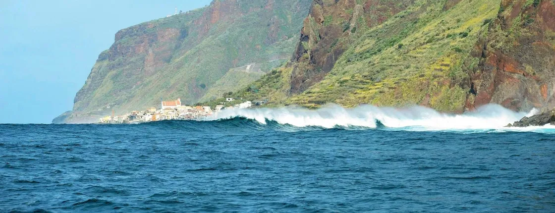 Madeira Island whale watching and snorkelling private tour