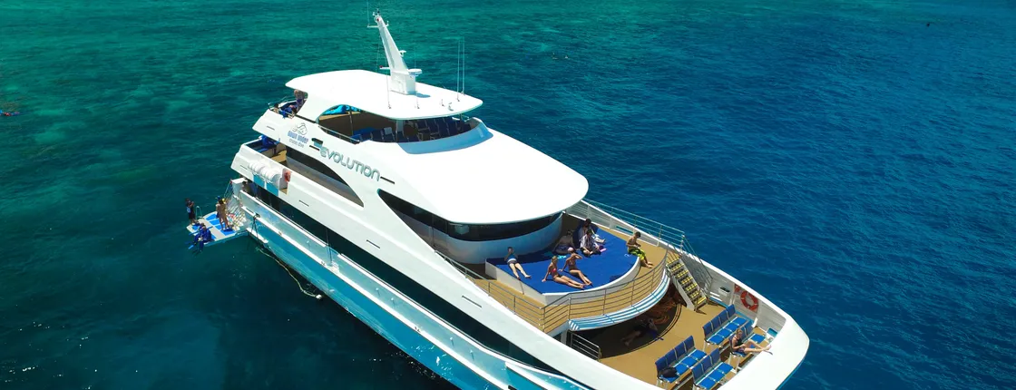 Great Barrier Reef Snorkeling and Diving Cruise