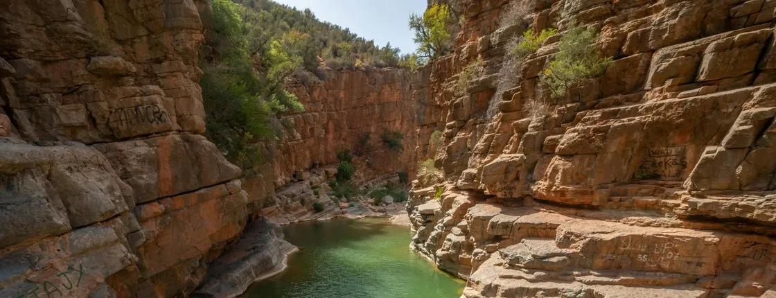 Paradise Valley Half-Day Guided Tour with Hotel Pickup