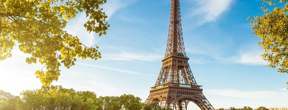 One-hour sightseeing cruise with dinner at Le Bistro Parisien