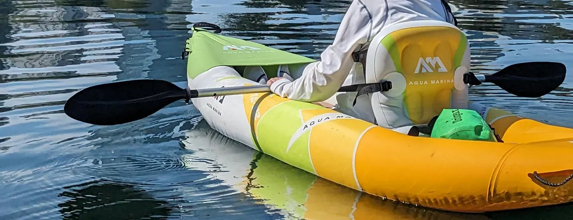 Vienna kayaking tour for small groups