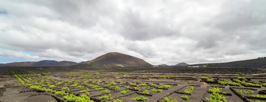 Guided three-wheeled motorbike tour in Lanzarote