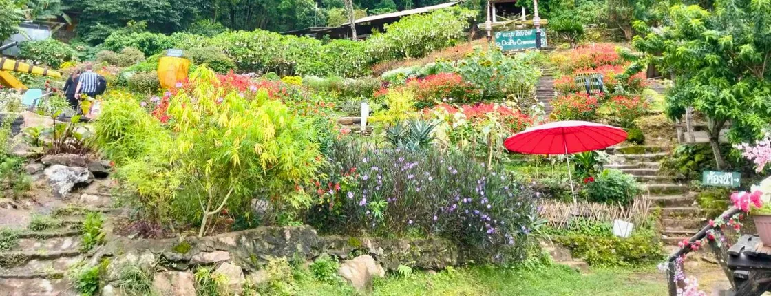 Half-day tour to Doi Suthep and White Hmong Hill Village