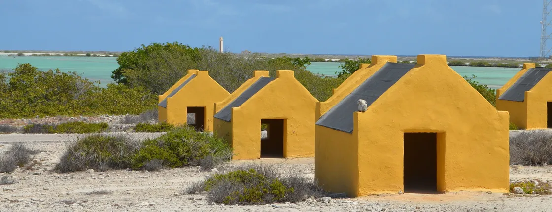 Discover Bonaire on a guided island tour