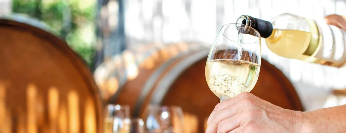 Lake Garda wine-tasting tour from southern hotels with optional transfers