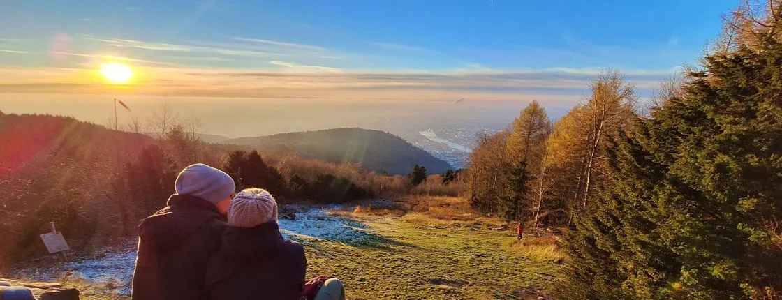 Heidelberg Castle and mountain railway tour with Königstuhl views