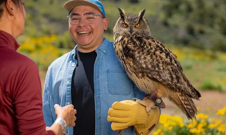 Experience Raptors and Falconry in Reno