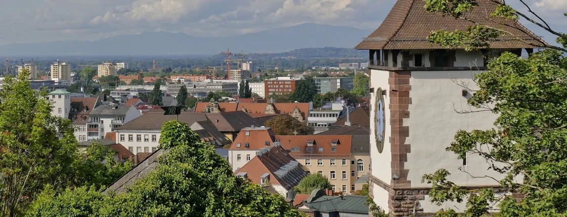 1-hour walking tour of Freiburg with a local