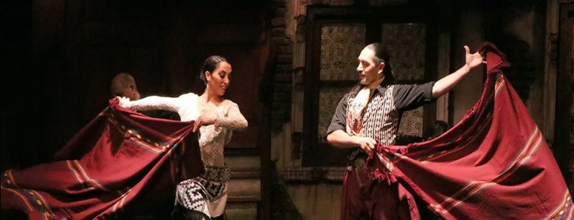 Aljibe Tango Earlier Show with private transfer and optional dinner