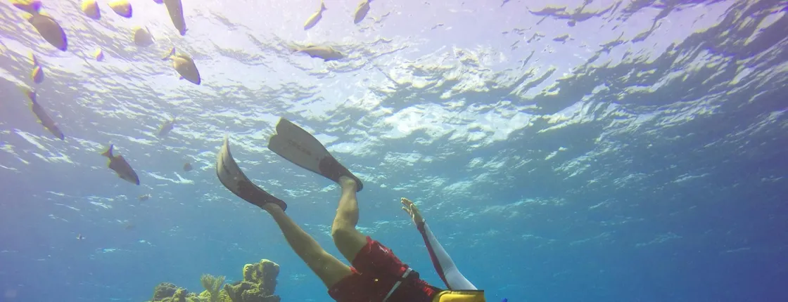 Clear boat ride and snorkel in Cozumel