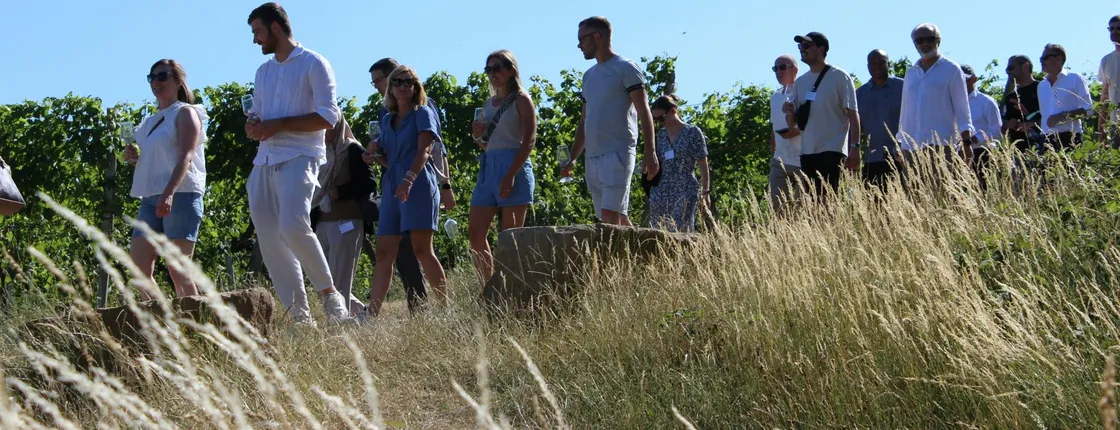 Private Stuttgart wine walk with games and regional tastings