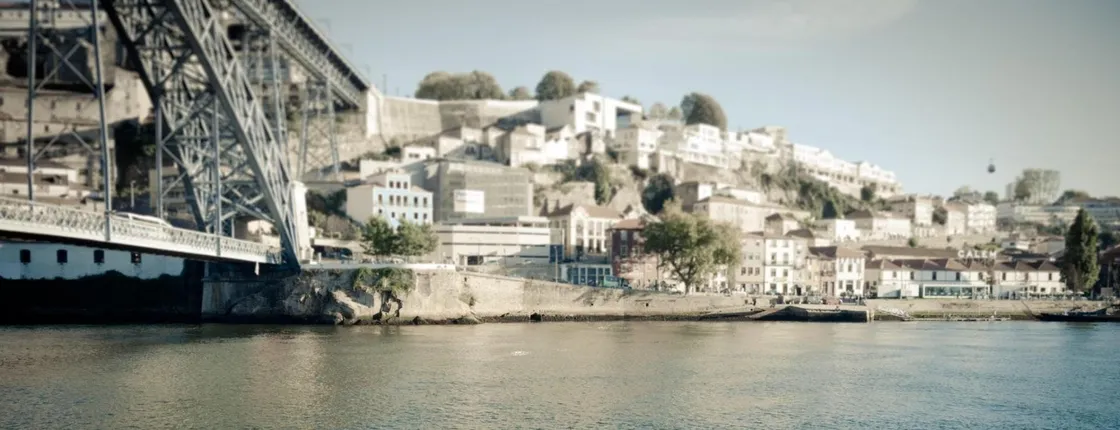 Half-day guided tour of Porto with 6 bridges' cruise and wine tasting