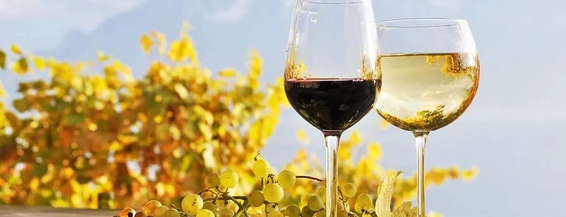 Wine Tour with Izmir Ancient City Metropolis
