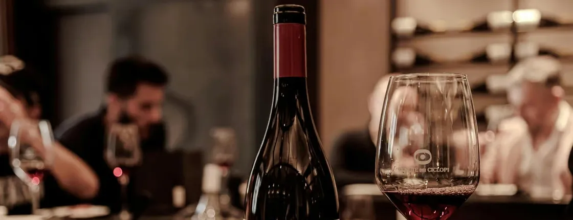 Exclusive Etna wine tasting at Tenute dei Ciclopi in central Catania