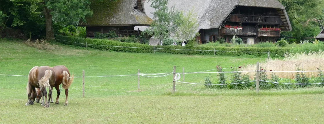 Black Forest day tour from Strasbourg