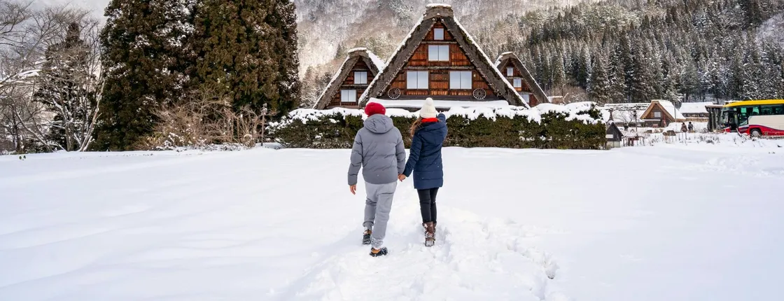 Shirakawago and Kanazawa guided day tour from Tokyo