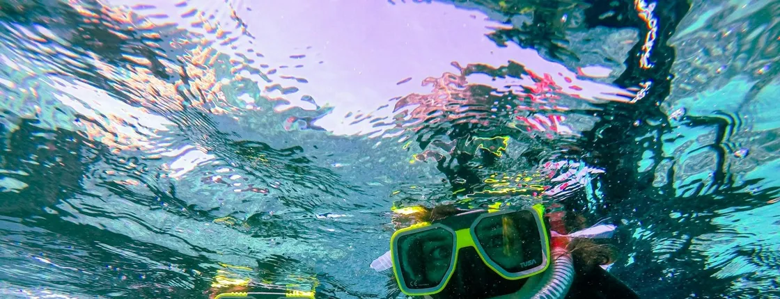 Snorkeling at Tulamben or Amed two dives by Blue Season