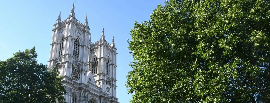 Private London Sightseeing Taxi Tour & Westminster Abbey