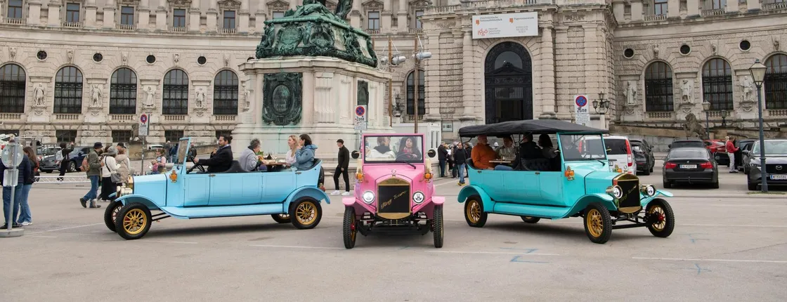 Vienna private exploration in an electric vintage car